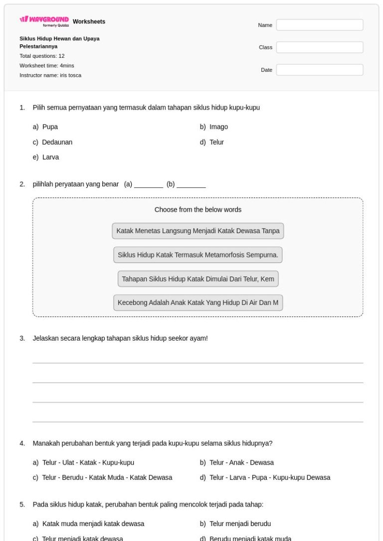 5 Contoh Soal IPA Kelas 4 Siklus Hewan Level Kognitif C4 yang Wajib Dikuasai