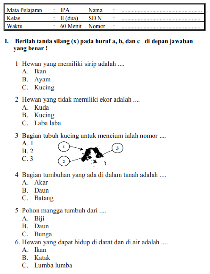 Mengupas Tuntas IPA Tema 6 Kelas 4 Semester 2 Energi dan Perubahannya