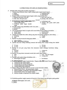 5 Contoh Soal IPA Kelas 4 Tentang Rangka Manusia yang Sering Muncul di Ujian, Wajib Tahu!