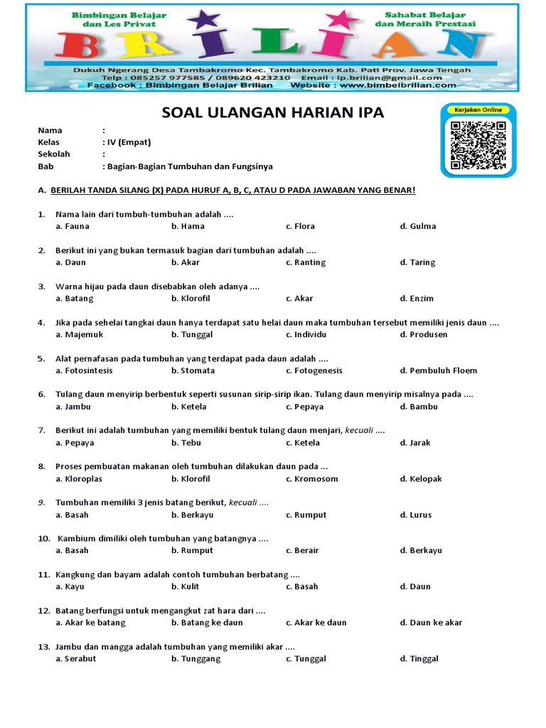 5 Contoh Soal IPA Kelas 4 tentang Bagian Tumbuhan yang Sering Muncul di Ujian 5 Contoh Soal IPA Kelas 4 tentang Bagian Tumbuhan yang Sering Muncul di Ujian