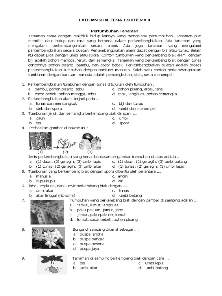 Rahasia Cepat Jawab Soal Tema 1 Subtema 4 Kelas 3 SD Agar Nilai Ujian Langsung Melejit